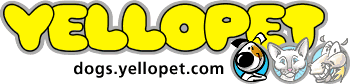 yellopet logo